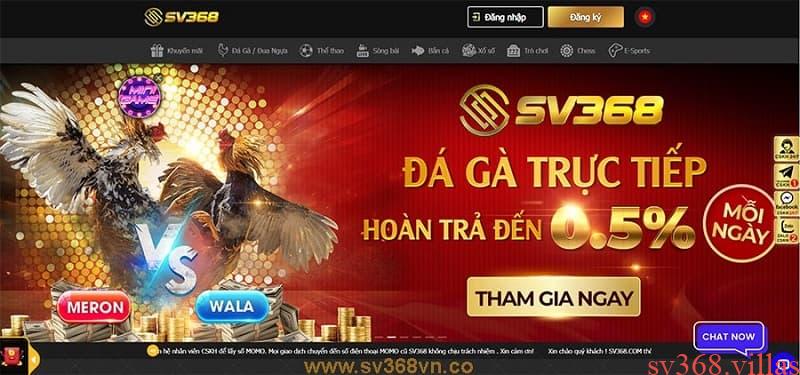 Giới thiệu thông tin cơ bản về đơn vị sv368