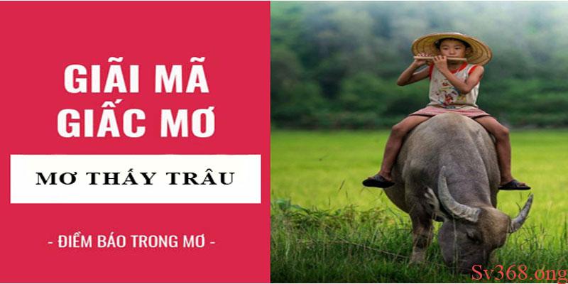 Mộng thấy trâu có ý nghĩa gì, gửi gắm thông điệp cuộc sống ra sao?