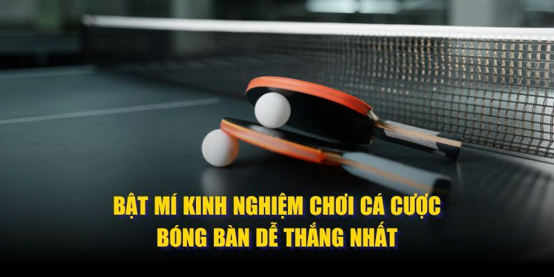 Kinh nghiệm để cá cược bóng bàn là gì ? 