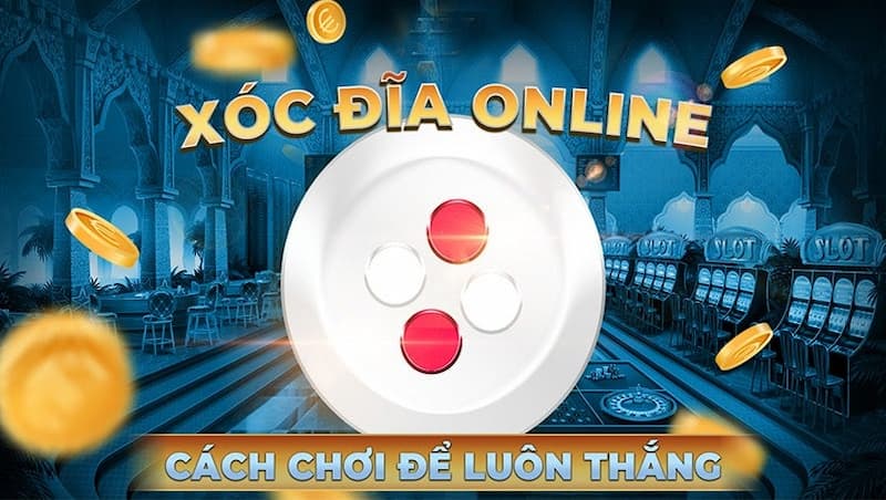 hình ảnh xóc đĩa