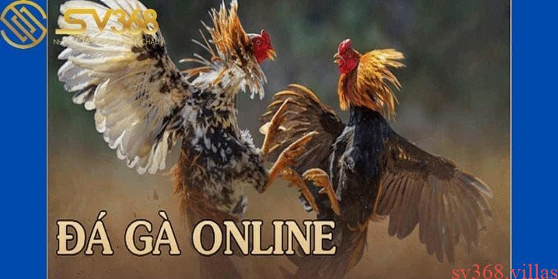 Đá gà online tại SV368